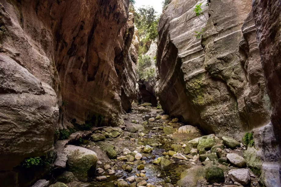 Gola di Akamas