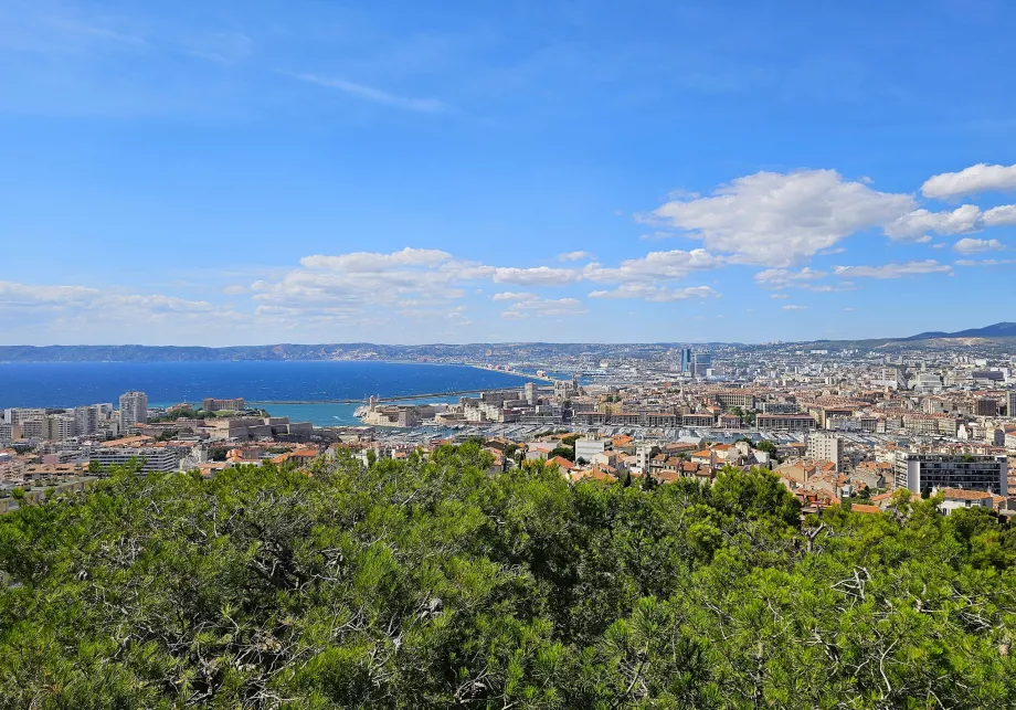 Vista dalla Cattedrale di Notre-Dame