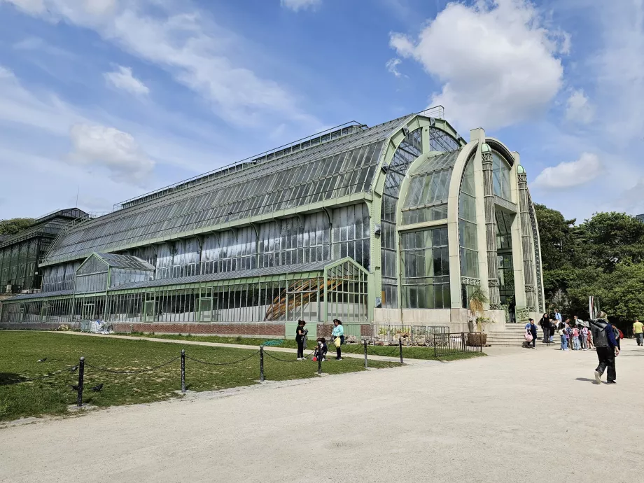 Serra nel Jardin des Plantes