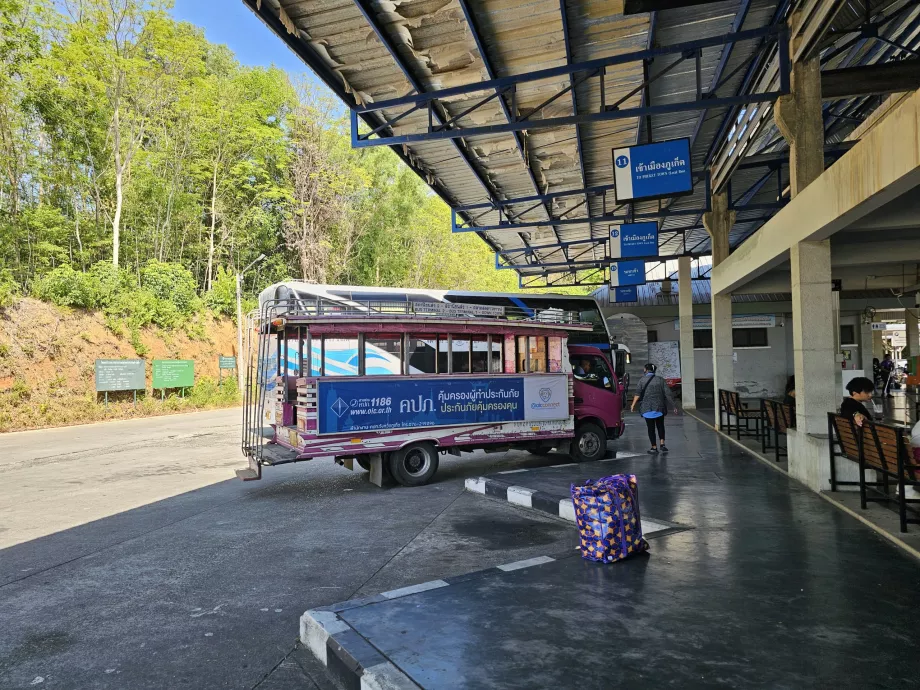 Autobus rosa al Terminal degli autobus 2