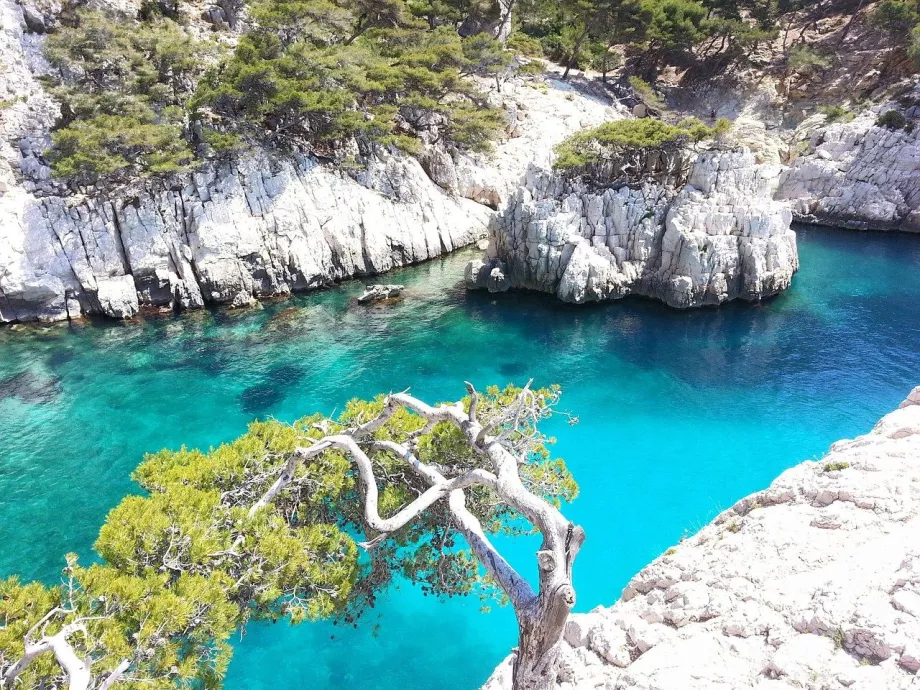 La baia di Calanques