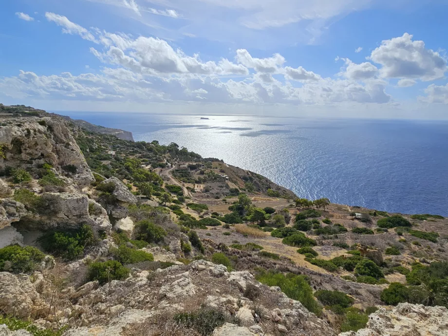 Campi lungo le scogliere del Dingli