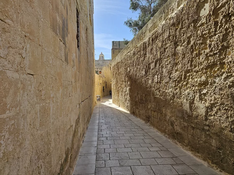 Le strade della città vecchia di Mdina