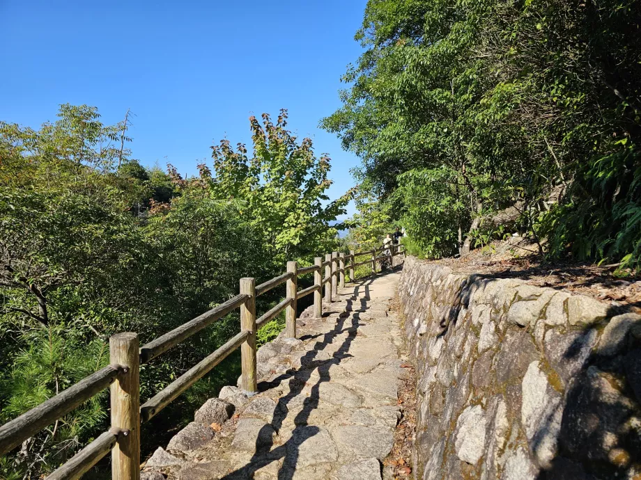 Turismo Miyajima