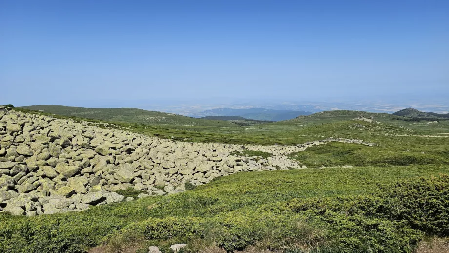 Panorami sulle montagne di Vitosha