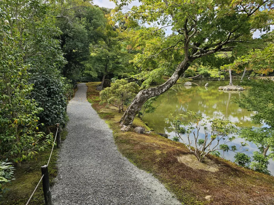 Parco del Tempio Kinkakuji