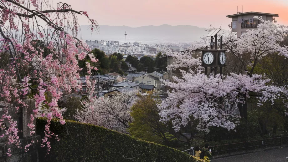 Primavera a Kyoto