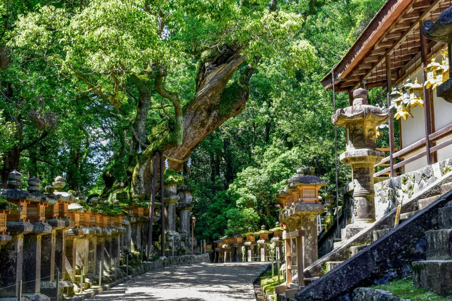 Kasuga Taisha