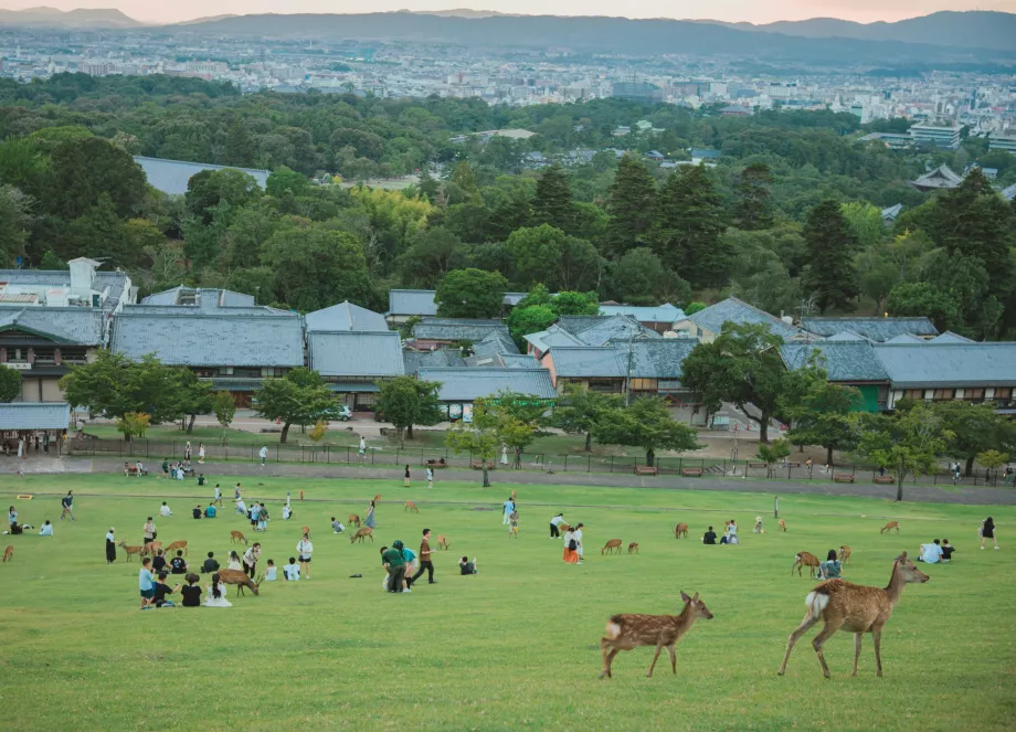 Vista dal Parco di Nara