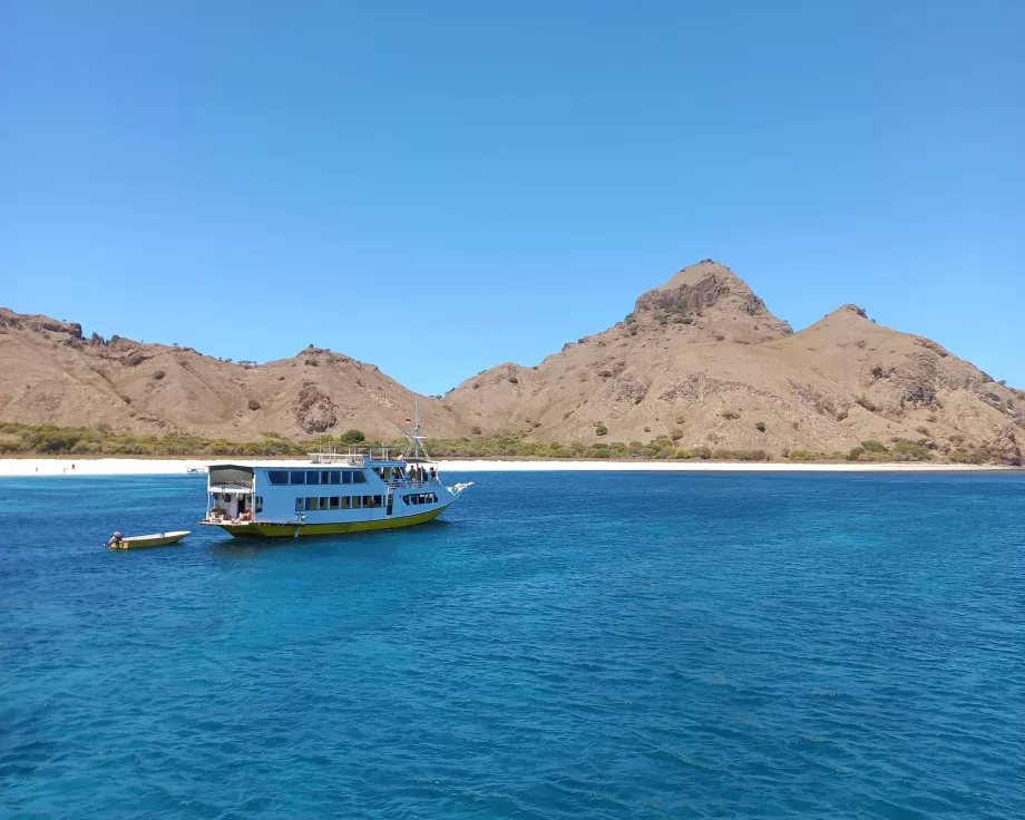 Isola di Rinca, Isole Komodo, Indonesia