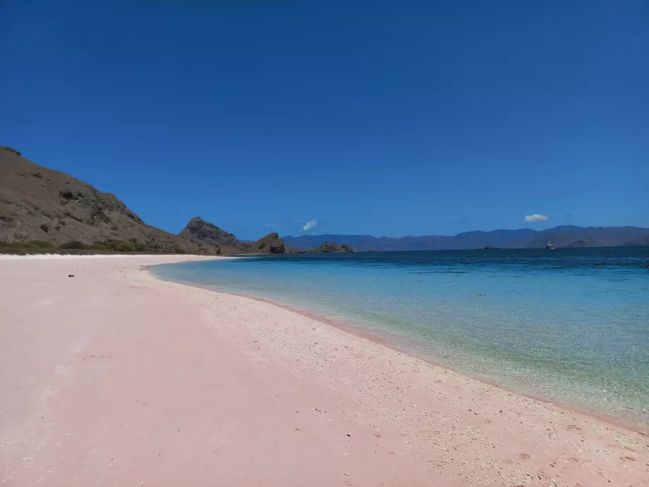 Spiaggia Rosa, Isole Komodo, Indonesia