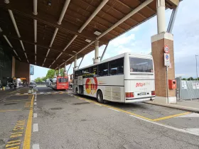 Autobus per Venezia, Mestre e Treviso AirLink (rosso al centro)
