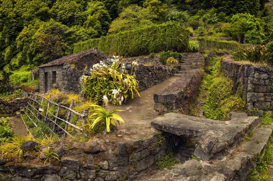 Faial de Terra