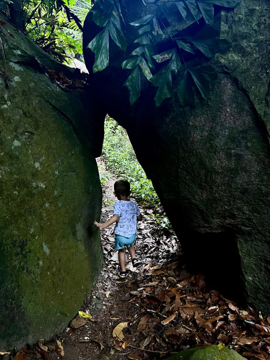 Paya-Genting trek, Tioman